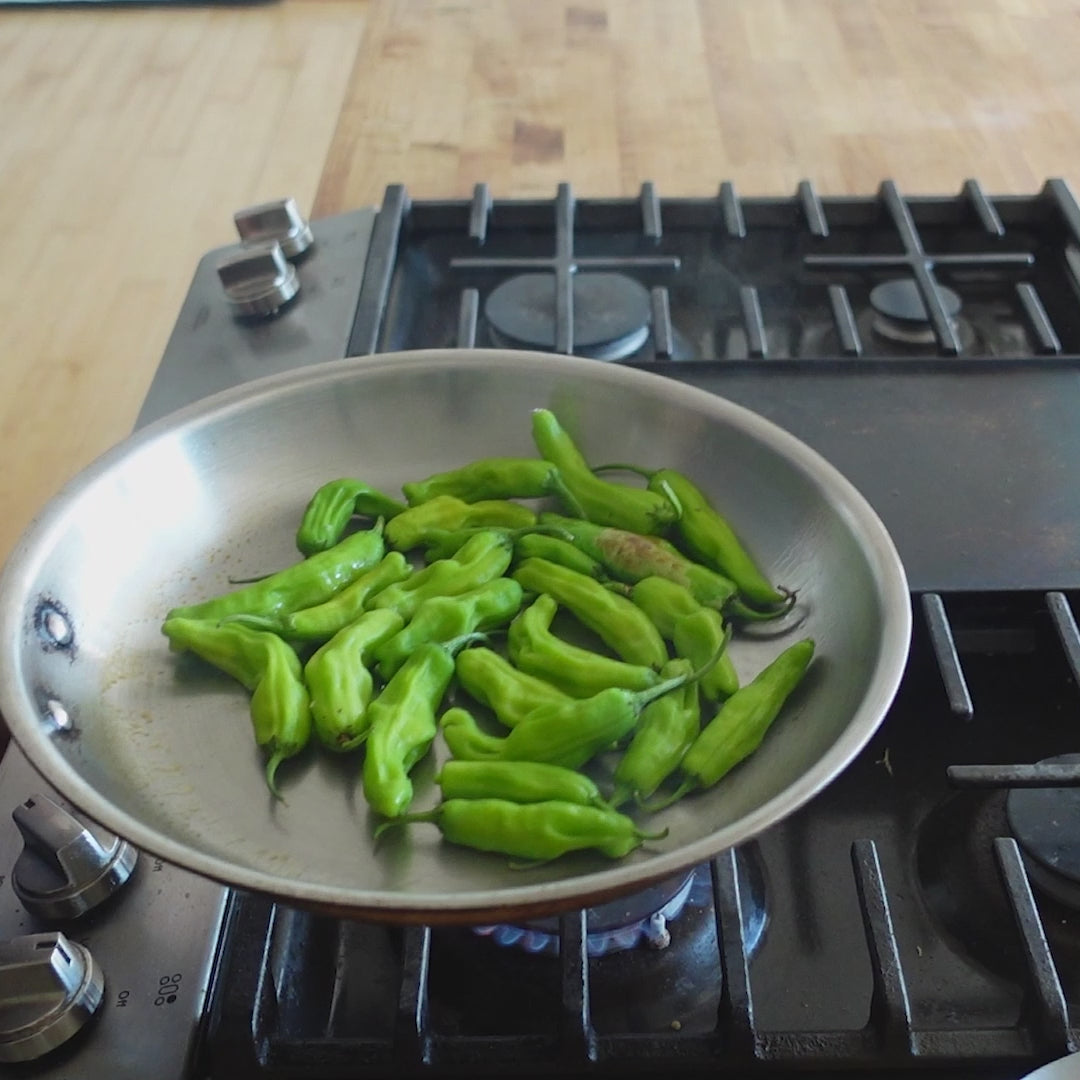 Titanium Series 12" Fry Pan